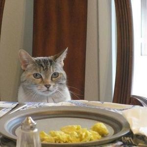 Meet your Posher, Craig